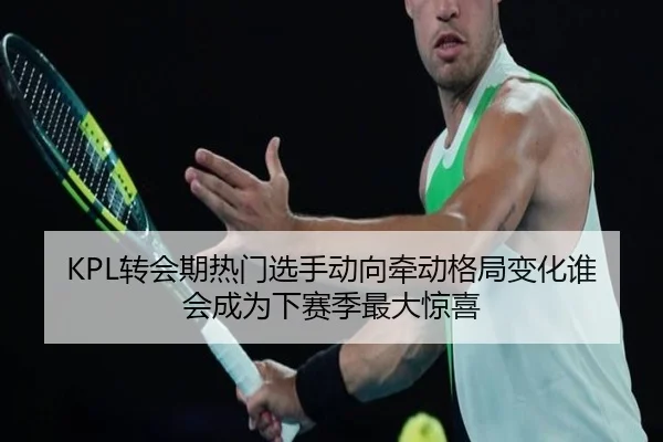 KPL转会期热门选手动向牵动格局变化谁会成为下赛季最大惊喜 | kaiyun
